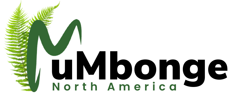 Mumbonge North America website designed by Wisdom Apex Digital